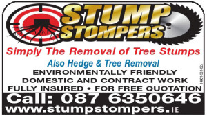 tree stump removeal